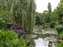 Monet's Pond, Giverney, France.JPG